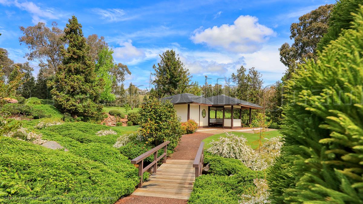 Peter Bellingham Photography Japanese Garden - Cowra